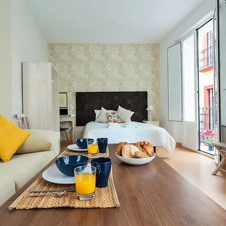 Hostly Acetres 1a Loft In Center, Comunal Terrace, Fibre,parking Optional Apartament *